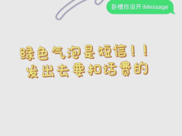 苹果手机短信发出去了是啥样的