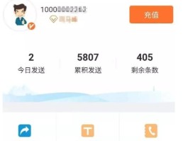 免费虚拟短信接收什么意思