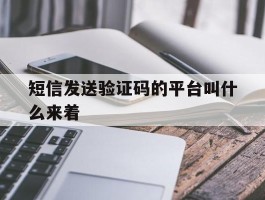 短信发送验证码的平台叫什么来着