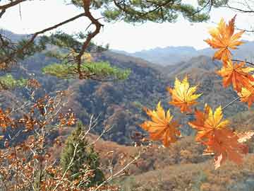 苹果版免费网络电话下载软件安装