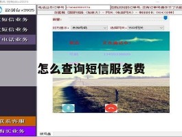怎么查询短信服务费