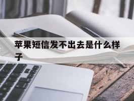 苹果短信发不出去是什么样子