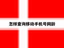 怎样查询移动手机号网龄