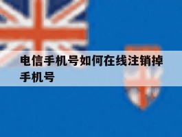 电信手机号如何在线注销掉手机号