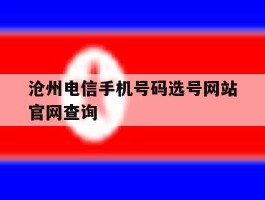 沧州电信手机号码选号网站官网查询