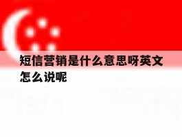 短信营销是什么意思呀英文怎么说呢