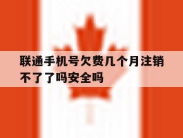 联通手机号欠费几个月注销不了了吗安全吗的简单介绍