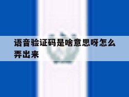 语音验证码是啥意思呀怎么弄出来
