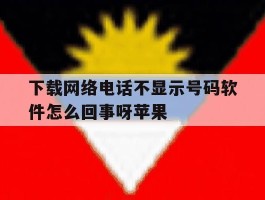 下载网络电话不显示号码软件怎么回事呀苹果