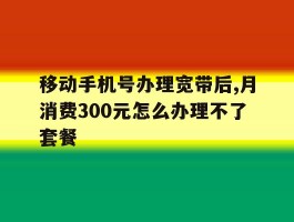 移动手机号办理宽带后,月消费300元怎么办理不了套餐的简单介绍