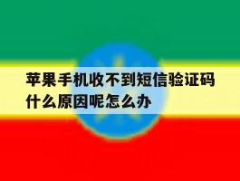 关于苹果手机收不到短信验证码什么原因呢怎么办的信息