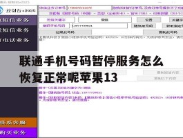 联通手机号码暂停服务怎么恢复正常呢苹果13