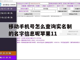 移动手机号怎么查询实名制的名字信息呢苹果11的简单介绍