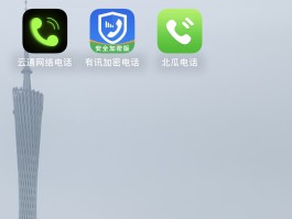 网络电话应用软件下载免费版苹果