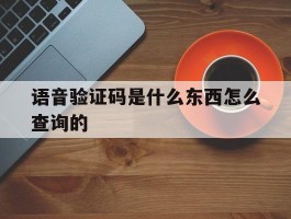语音验证码是什么东西怎么查询的