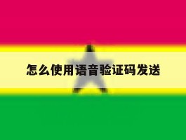 怎么使用语音验证码发送