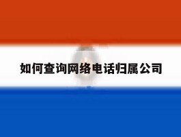 如何查询网络电话归属公司