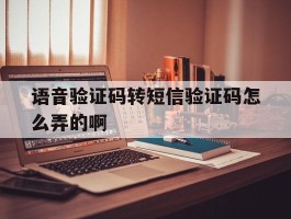 语音验证码转短信验证码怎么弄的啊