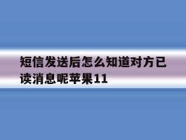 包含短信发送后怎么知道对方已读消息呢苹果11的词条