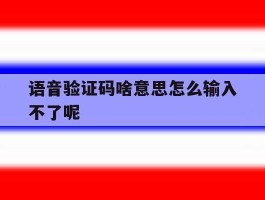 语音验证码啥意思怎么输入不了呢