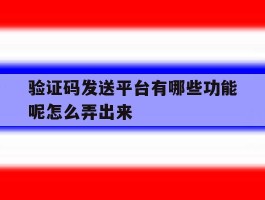 包含验证码发送平台有哪些功能呢怎么弄出来的词条