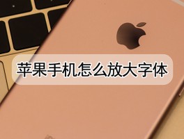 包含移动手机号怎么更改实名制信息呢苹果的词条
