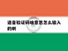 语音验证码啥意思怎么输入的啊