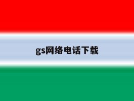 gs网络电话下载