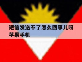 短信发送不了怎么回事儿呀苹果手机
