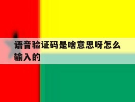 语音验证码是啥意思呀怎么输入的