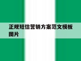 正规短信营销方案范文模板图片