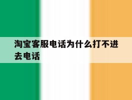 淘宝客服电话为什么打不进去电话