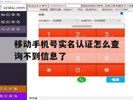 移动手机号实名认证怎么查询不到信息了