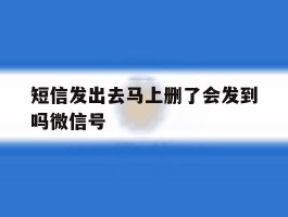短信发出去马上删了会发到吗微信号