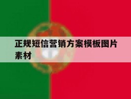 正规短信营销方案模板图片素材