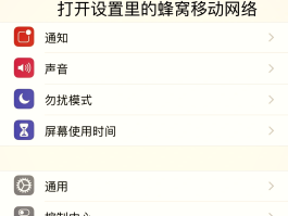 4g网络电话怎么打不出去呢苹果11