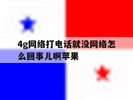 4g网络打电话就没网络怎么回事儿啊苹果