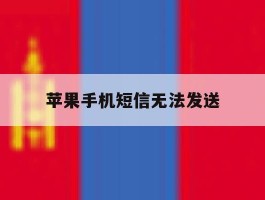 苹果手机短信无法发送