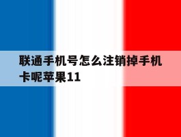 联通手机号怎么注销掉手机卡呢苹果11的简单介绍