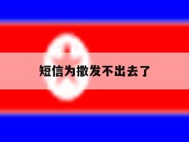短信为撒发不出去了