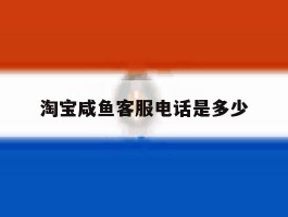 淘宝咸鱼客服电话是多少