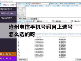 关于沧州电信手机号码网上选号怎么选的呀的信息