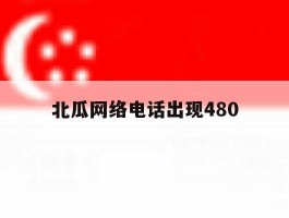 北瓜网络电话出现480