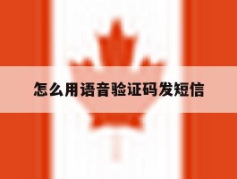 怎么用语音验证码发短信