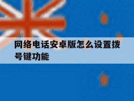 网络电话安卓版怎么设置拨号键功能