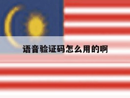语音验证码怎么用的啊