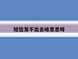 短信发不出去啥意思呀