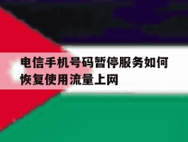 电信手机号码暂停服务如何恢复使用流量上网