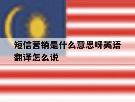 短信营销是什么意思呀英语翻译怎么说