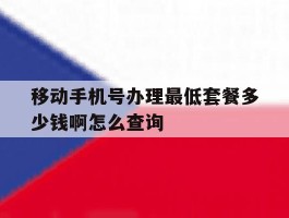 包含移动手机号办理最低套餐多少钱啊怎么查询的词条